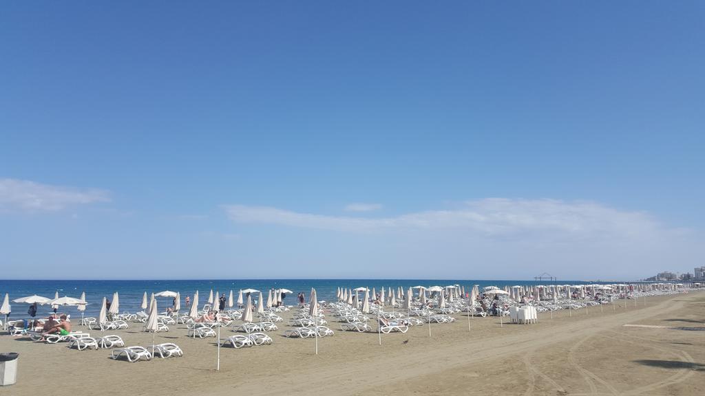 לרנקה Alex Beach Apartment 51 מראה חיצוני תמונה